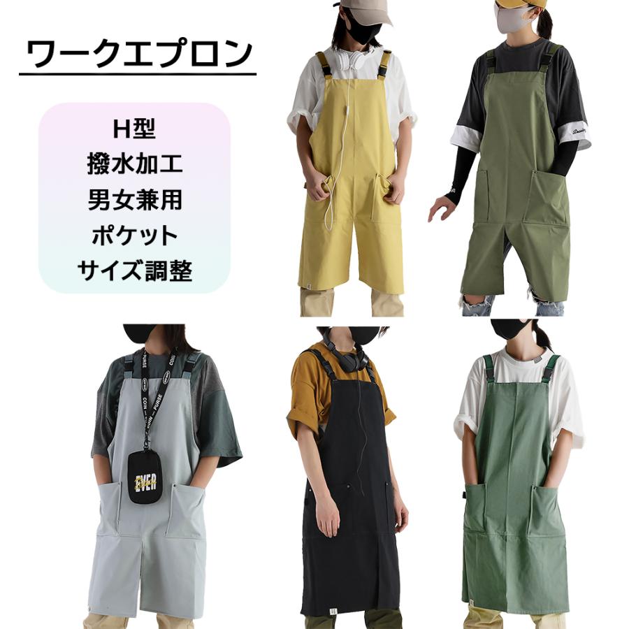 攻撃 急行する 従事する 美容 師 エプロン 撥 水 平和 山 の頭の上