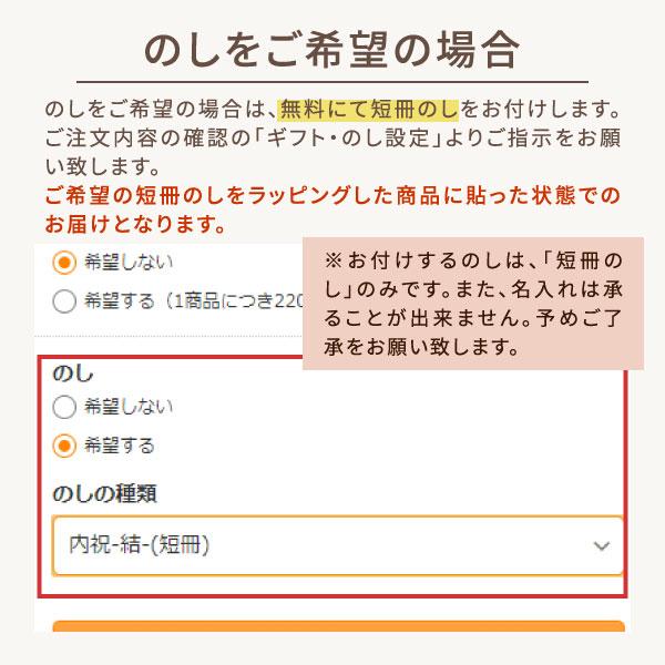 内祝い ラッピング 袋 ギフト用  澤井珈琲 有料ラッピング（包装 ギフト プレゼント） 不織布 バッグ 袋 巾着 巾着袋 包装袋  贈答 【RD】 【TS】 | 澤井珈琲 | 05