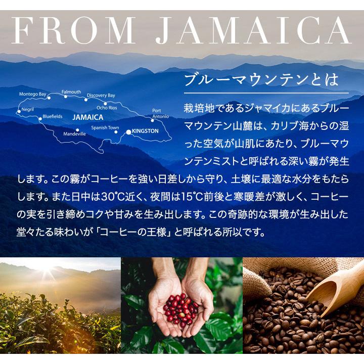澤井珈琲 ブルーマウンテン コーヒー ドリップ コーヒー ドリップ