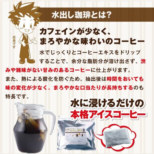 アイスコーヒー 水出しコーヒー コーヒー コールドブリュー 送料無料 専門店 極上 水出し珈琲 福袋 1袋10パック入り 2 グルメ 澤井珈琲 通販 Paypayモール