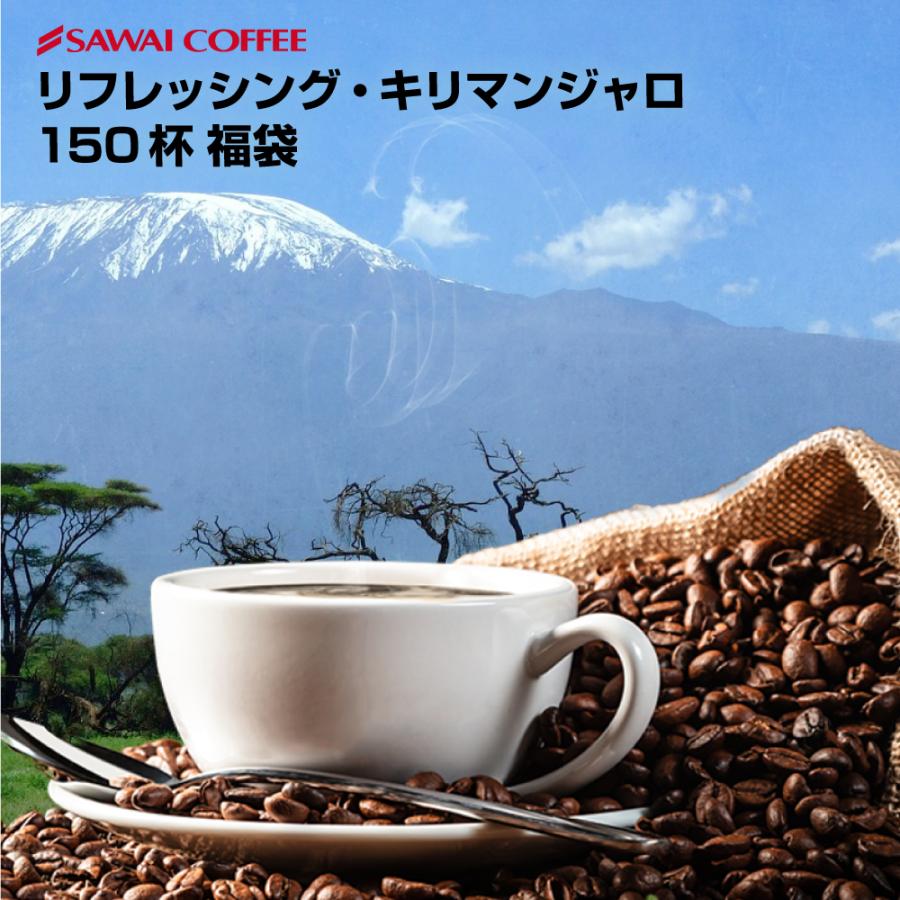 珈琲 福袋 コーヒー 豆 珈琲豆  コーヒー専門店の150杯分入りリフレッシング・キリマンジャロ福袋 グルメ 【RD】 【TS】 | 澤井珈琲