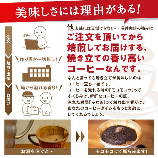 コーヒー 珈琲 福袋 コーヒー豆 珈琲豆  120杯分入り スノーマウンテンブレンド コーヒー福袋 グルメ 【RD】 【TS】 | 澤井珈琲 | 03