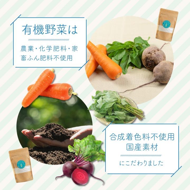 ベジパンケーキミックス オーガニック 野菜 ビーツ モロヘイヤ にんじん ホウレンソウ 澤井珈琲 スイーツ 朝食 おやつ 【RD】 【TS ...