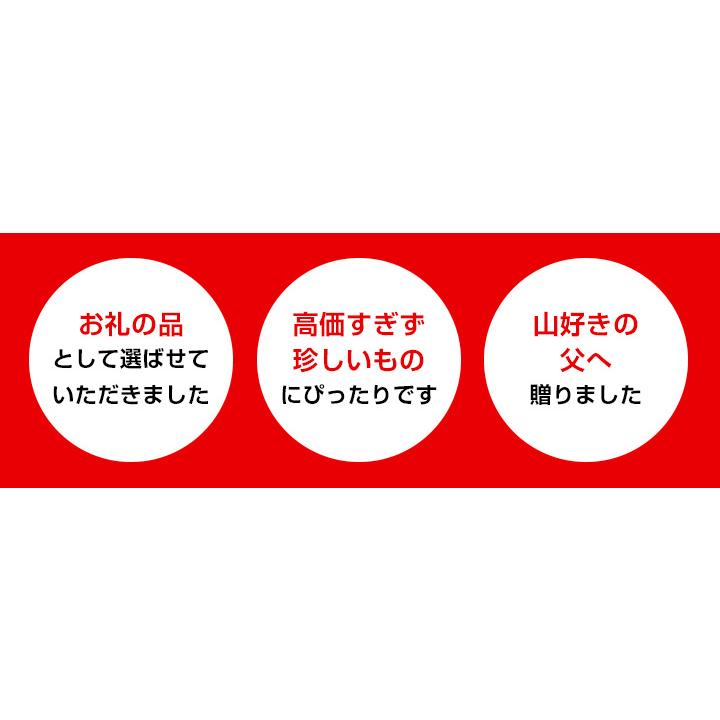 父の日ギフト2025 ドリップコーヒー コーヒー 福袋 珈琲 極上ドリップバッグ エーデルワイス　50袋セット グルメ 【RD】 【TS】 | 澤井珈琲 | 02