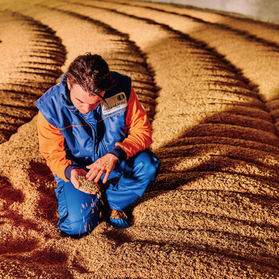 Bavaria72本♡24本 3ケースノンアルコールビール レモン Bavaria72本♡24本 3ケースノンアルコールビール レモン