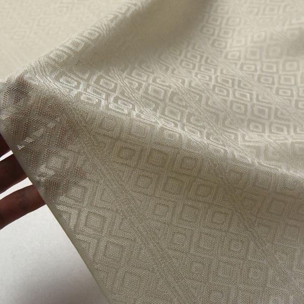 シースルーコート　紋紗　透かし織　菱縞文様　やわらかい黄緑色　手縫いお仕立て付き　ロングコート　長羽織　道行コート　道中着　着物裄７０.５ｃｍまでの画像