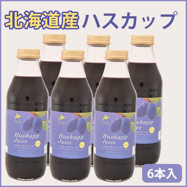 バイオアグリたかす ハスカップジュース 500ml 6本 北海道産 のし対応可｜sawayasouhonten