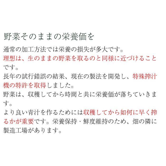 国産厳選 スイカジュース 100%ストレート 100g×15袋セット(冷凍)(すり絞り製法)(完全無添加)(すいか、西瓜)(ベルファーム)｜sawayasouhonten｜08