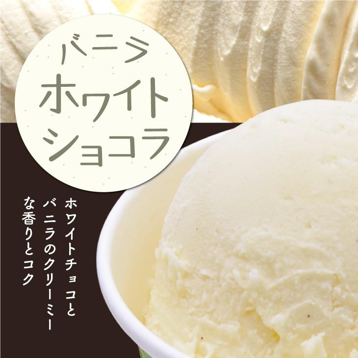 ふくち☆リッチジェラート 12種プレミアムセット 無香料/無着色/福岡県福智町特産の素材使用｜sawayasouhonten｜17