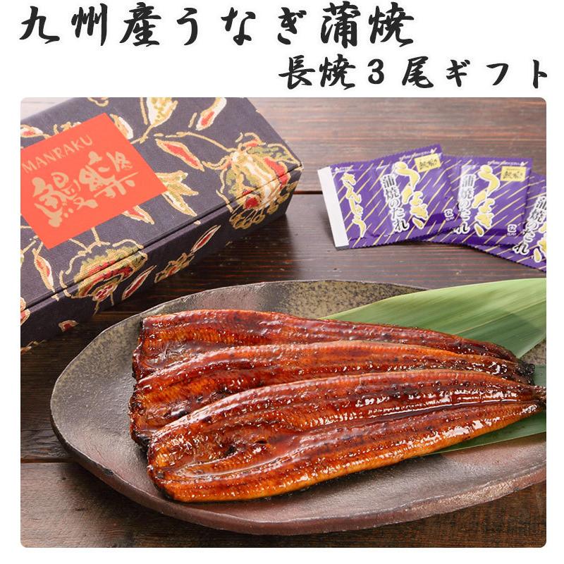九州産うなぎ蒲焼 3尾(180g×3)計540g(鰻楽) のし対応可 