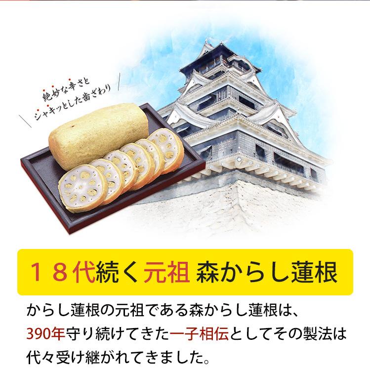 元祖 森からし蓮根 オリジナルセット(からし蓮根265ｇ×2本/森のお醤油150ml×1本/からし蓮根風味チップス20ｇ×1袋)  観光庁長官賞 熊本名物 のし対応可｜sawayasouhonten｜02