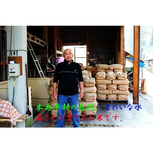コシヒカリ 令和6年産 特A地区長野県木島平村産コシヒカリ玄米 コシヒカリ 令和6年産 特A地区長野県木島平村産コシヒカリ玄米