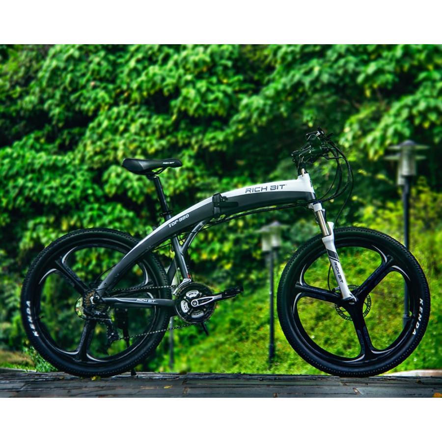 電動アシスト自転車 RICH BIT TOP-860