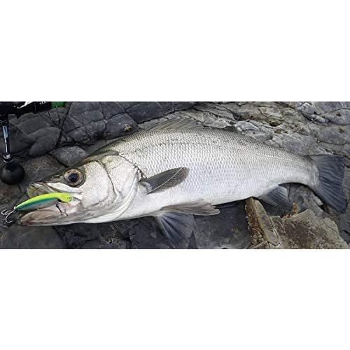 初回限定お試し価格 シマノ Shimano ルアー キョウリンイワシ 001 Ot 145k 145f 別注平政 オシア その他ハードルアー 梱包についてのご希望 簡易梱包を希望する Binghamtonhots Com