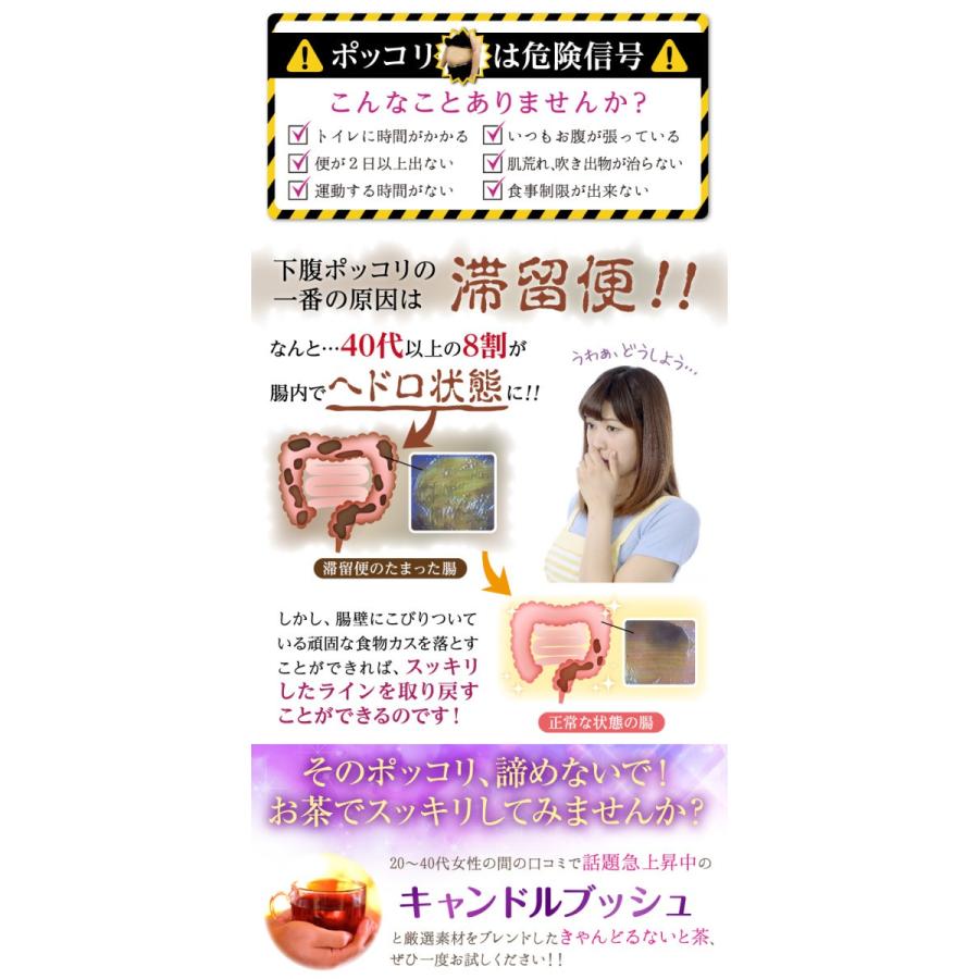 ダイエット 茶 キャンドルブッシュ カモミール  30包  健康 紅茶 送料無料｜sazankaen｜03