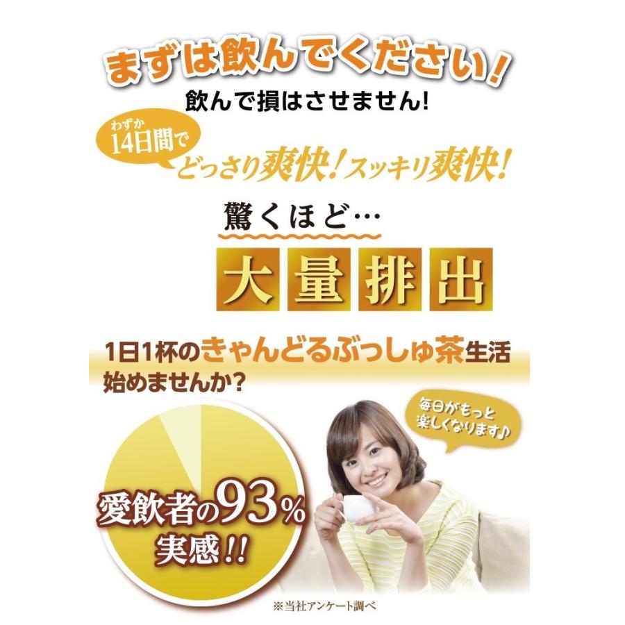 ダイエット 茶 キャンドルブッシュ グレープフルーツ  紅茶 30包 送料無料｜sazankaen｜06