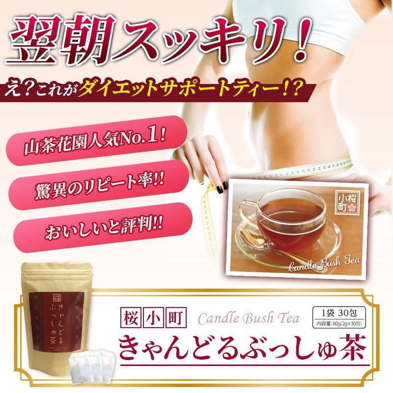 ダイエット 茶 キャンドルブッシュ ラズベリー 30包  送料無料｜sazankaen