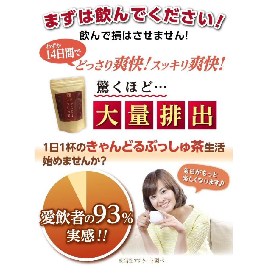 ダイエット 茶 キャンドルブッシュ ラズベリー 30包  送料無料｜sazankaen｜05