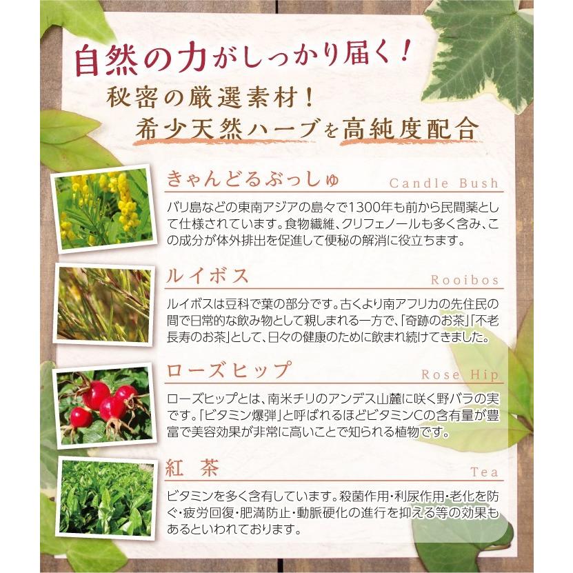 ダイエット 茶 キャンドルブッシュ ラズベリー 30包 送料無料 Candlebushtea Raspberry02 山茶花園ヤフー店 通販 Yahoo ショッピング