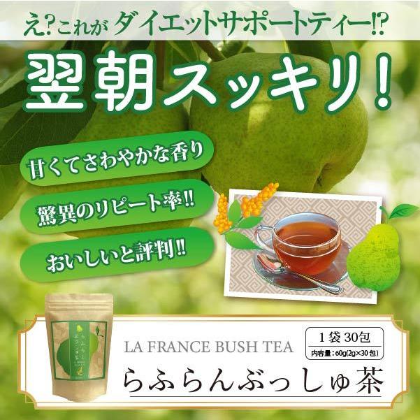 ダイエット 茶 キャンドルブッシュ ラフランス 30包 送料無料 Lafranbushtea 01 山茶花園 Sazankaen ヤフー店 通販 Yahoo ショッピング