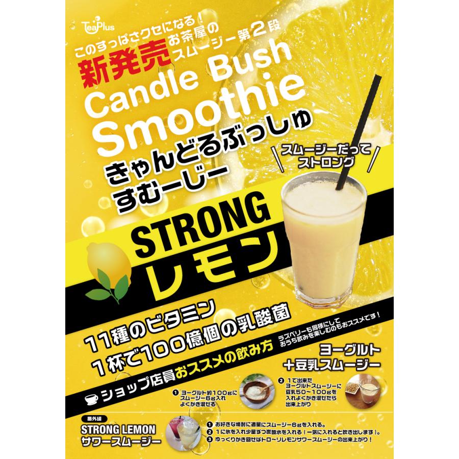グランドセール オマケ付き ベリー スムージー2個セット 酵素 コエンザイムQ10 新発売 送料無料 キャンドルブッシュ グランドセール オマケ付き ベリー スムージー2個セット 酵素 コエンザイムQ10 新発売 送料無料 キャンドルブッシュ