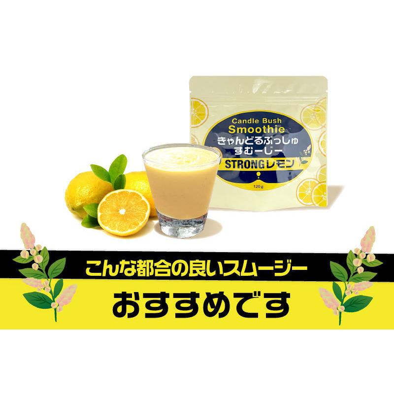 クエン酸たっぷりスムージーストロングレモン/ビタミン/乳酸菌/クエン酸/キャンドルブッシュ/ダイエットスムージー／ホットレモン｜sazankaen｜09