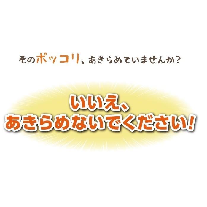 ダイエット 茶 キャンドルブッシュ マンゴー 紅茶 30包 送料無料｜sazankaen｜05