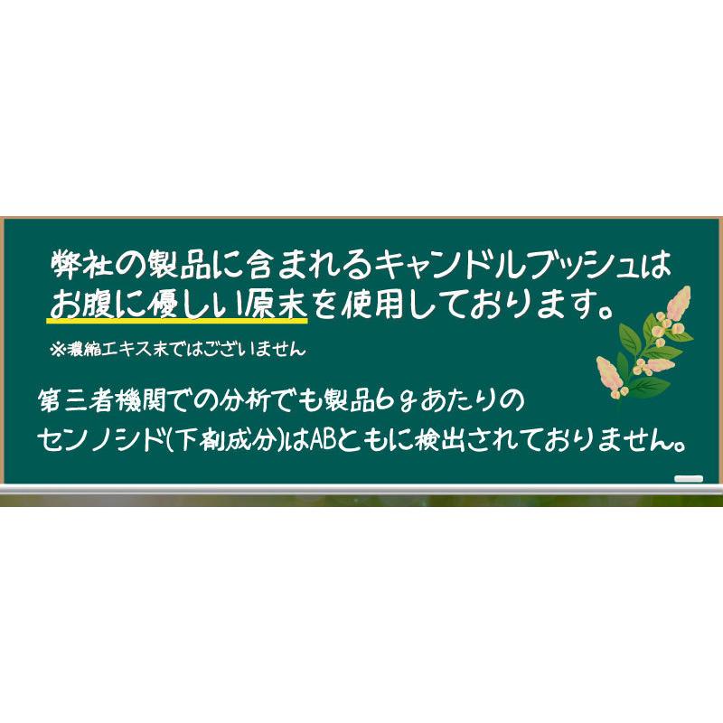 ★スムージー200種以上の酵素 コエンザイムQ10 送料無料きゃんどるぶっしゅすむーじー30日分キャンドルブッシュ｜sazankaen｜17