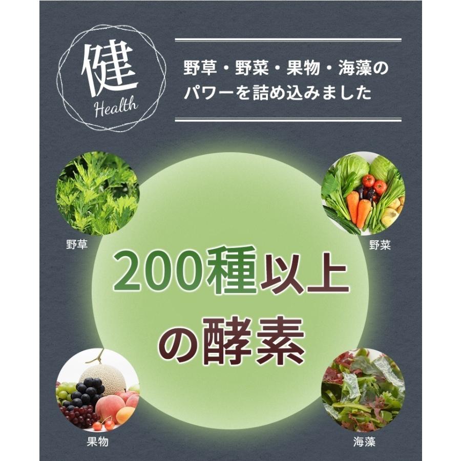 ★スムージー200種以上の酵素 コエンザイムQ10 送料無料きゃんどるぶっしゅすむーじー30日分キャンドルブッシュ｜sazankaen｜08