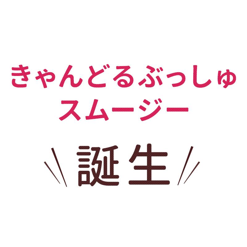 ★スムージー200種以上の酵素 コエンザイムQ10 送料無料きゃんどるぶっしゅすむーじー30日分キャンドルブッシュ｜sazankaen｜10