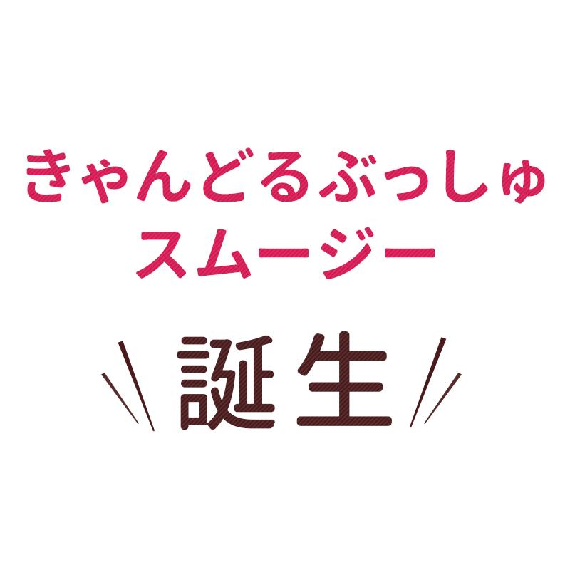 ★★人気No.1★ベリースムージー30日分/200種以上酵素/コエンザイムQ10/送料無料/置き換え/ダイエット/キャンドルブッシュ｜sazankaen｜09