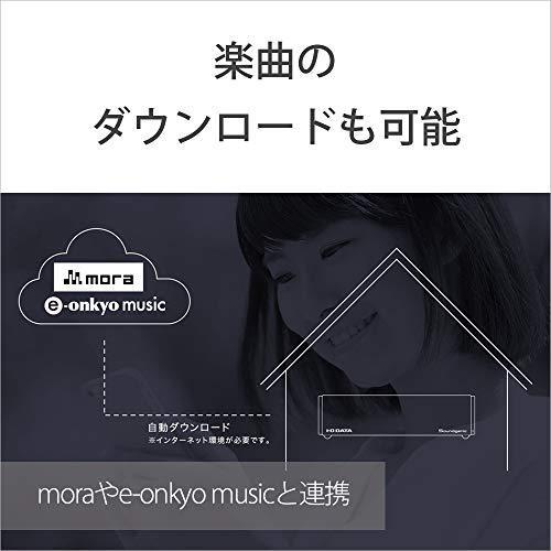 50 Off ミュージックサーバーセット Sony ウォークマン 16gb Aシリーズ ムーンリットブルー Nw A55 Lとi O Data ネットワークオーディオサーバー 3tb Hdl Ra3hg E デジタルオーディオプレーヤー Acte Paris Org