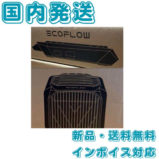 EcoFlow Wave 2専用バッテリーパック ZYDKT210-EB EcoFlow WAVE 2 Add-on Battery ZYDKT210-EB – Power and Portable