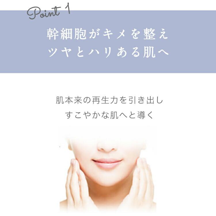SBC MEDISPA ステムクレンジング : SBC湘南美容 Yahoo!店 - 通販 - Yahoo!ショッピング