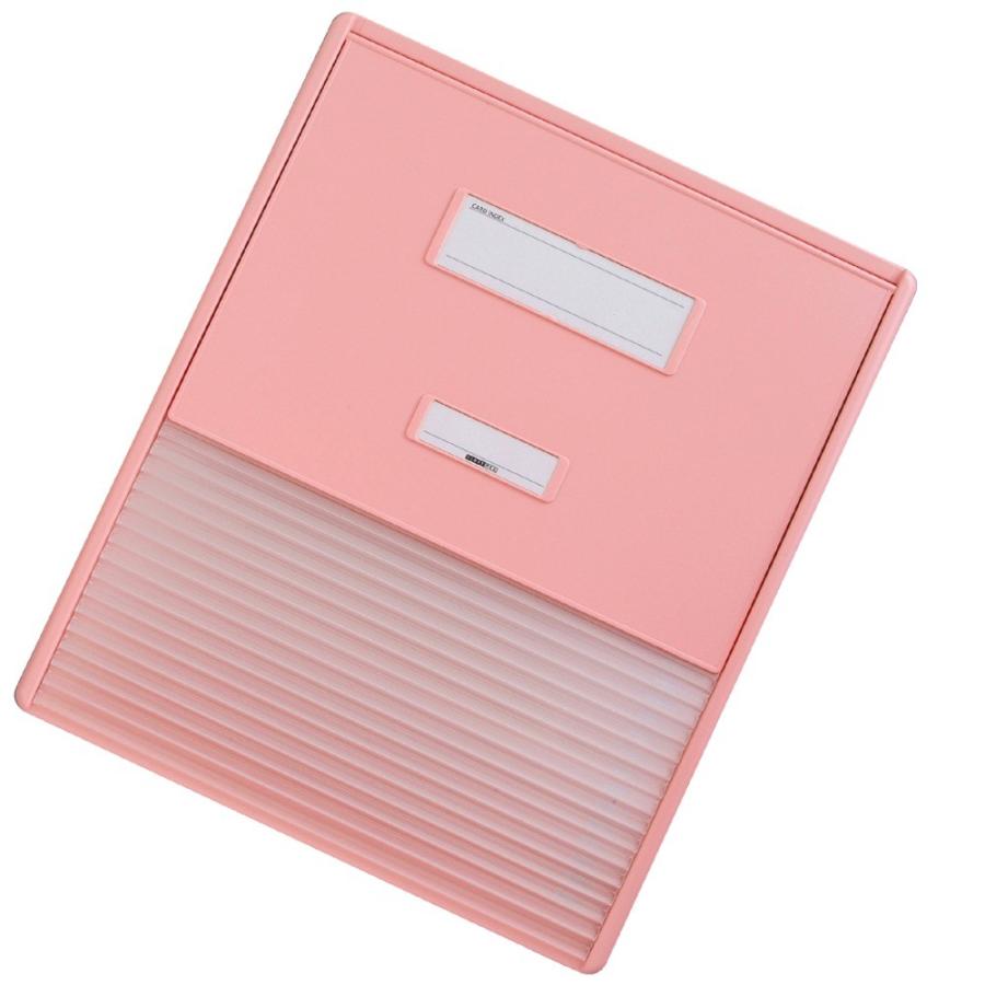 リヒトラブ カラーカードインデックス HC114C-4 ピンク
