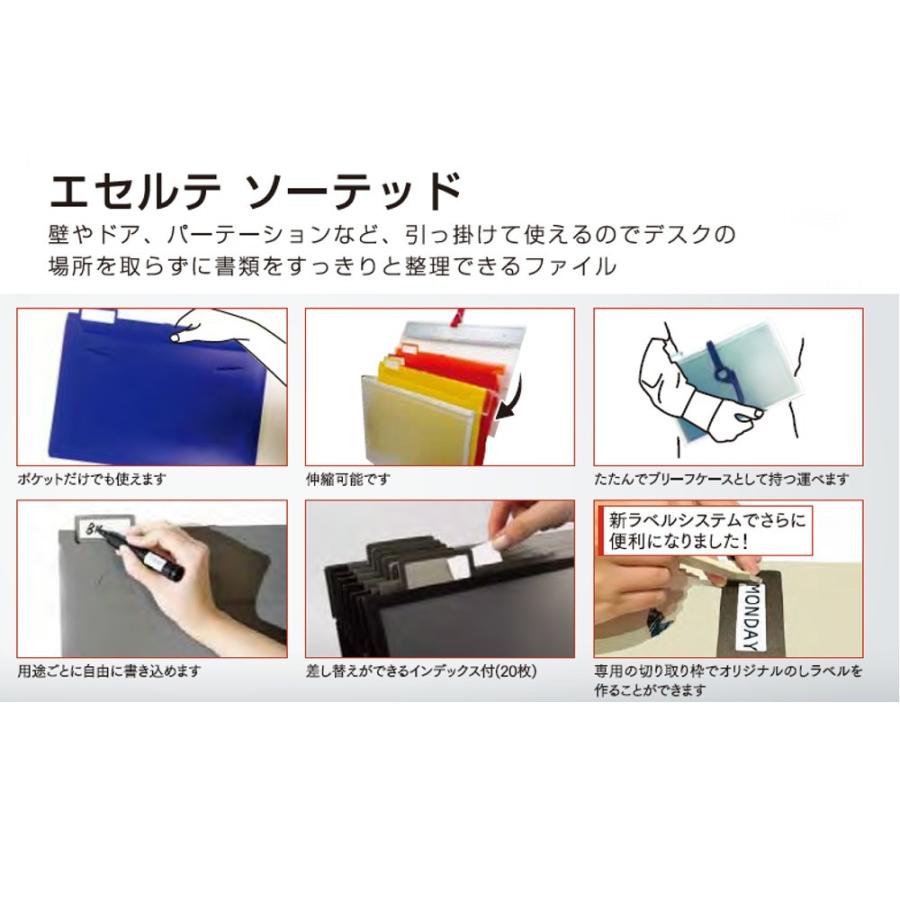 専用です エセルテ ソーテッド 22341 A4/6段 ウォームカラー : 文具・事務用品の