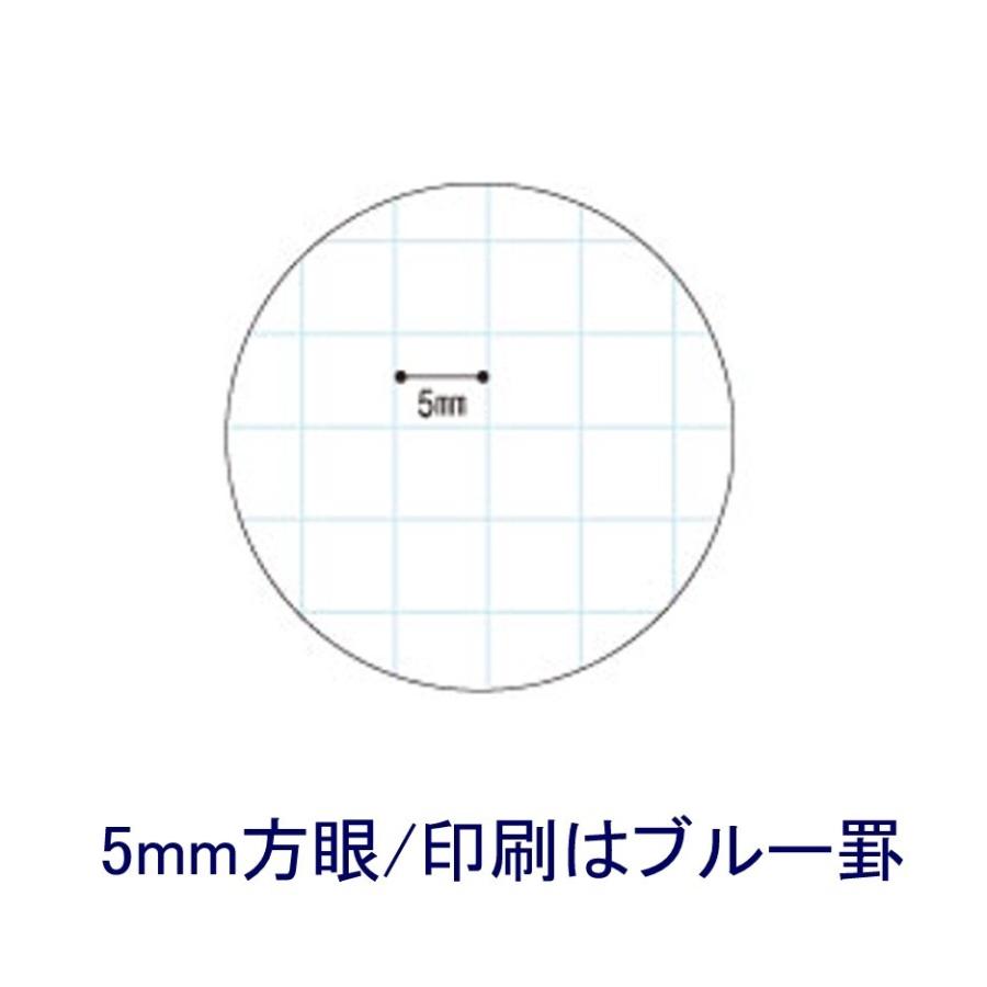 オキナ 5mm方眼 PPA45S A4判｜sbd｜02