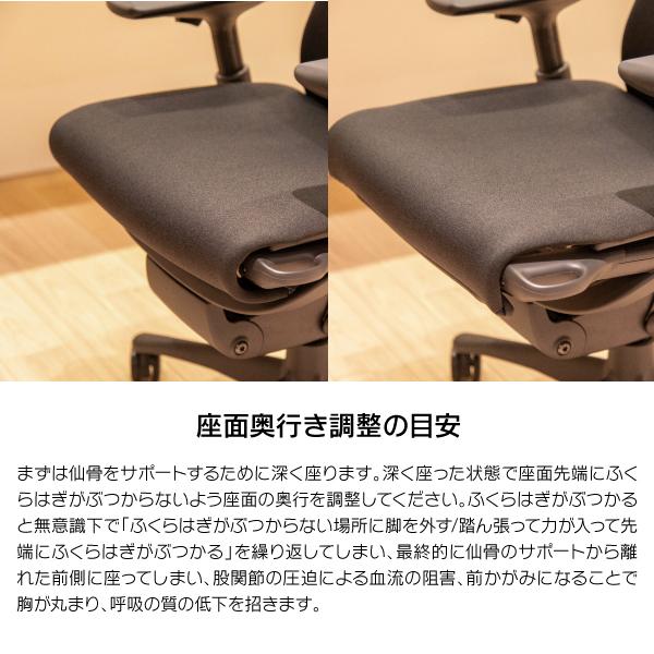 Herman Miller（ハーマンミラー） 即納在庫有 エンボディチェア