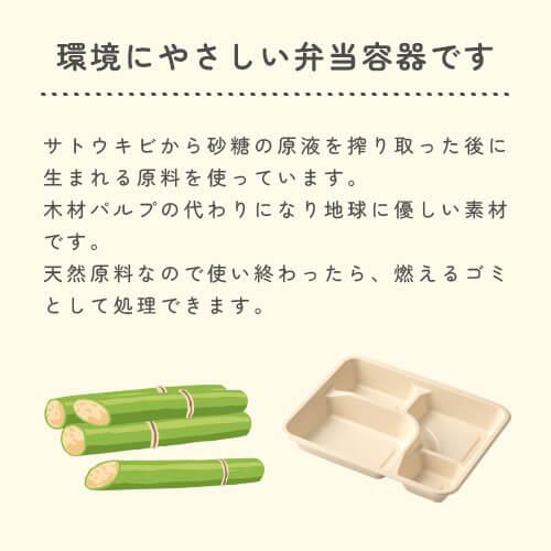 P-2 紙製弁当容器 本体 未晒」「単価 59円×50枚」使い捨て 弁当箱 容器