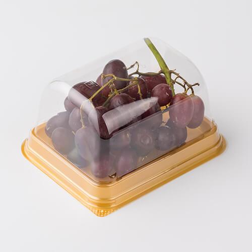 「ケーキBOXNo,61本体(金)」「枚単価 18.2円×1500枚」ケーキ容器 ケーキ皿 使い捨て 業務用 容器 トレー ケース テイクアウト 洋菓子 スイーツ ショートケーキの画像