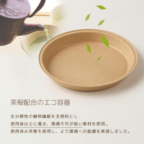 「Reeep deep」「枚単価 39円×500枚」パルプモールド 使い捨て 茶碗 業務用 テイクアウト 容器 おしゃれ エコ 紙 パルプ 冷凍 レンジ 耐水 PFAS不使用 日本製 |  | 03