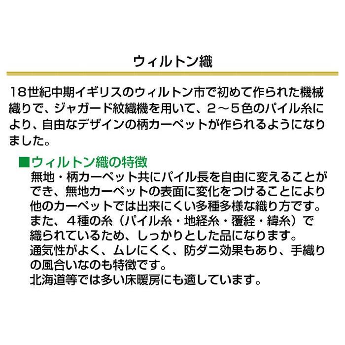 秋冬の主役◎ トルコ製 シルク調 ウィルトン織 モダール カーペット 約140×190cm アージネル ジュータン ラグ ペルシャ絨毯風 【WSO2074739022】(74900円)