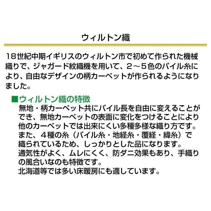 ベルギー製 シルク調ウィルトン織 モダールカーペット 約160×224cm ボランジェ ジュータン ラグ ペルシャ絨毯風_7