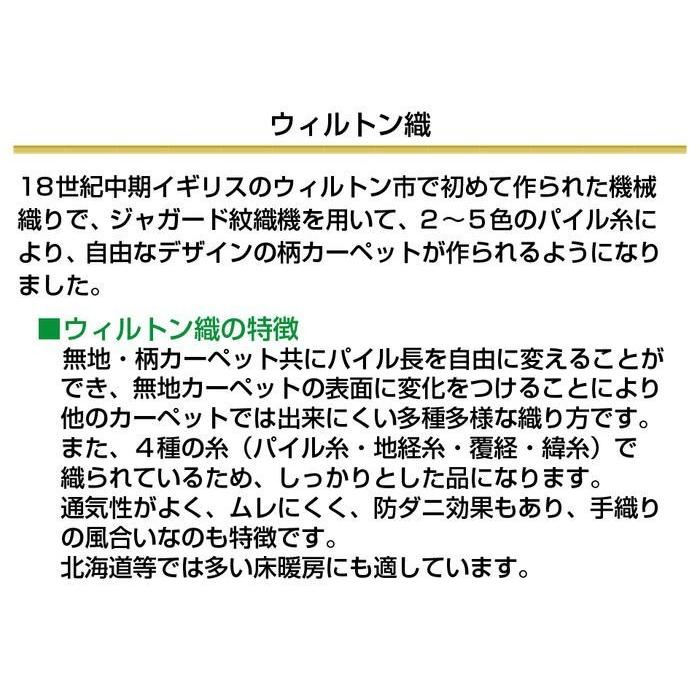 ウィルトン織マット 約60×90cm エドヴァン モダン アンティーク オリエンタル 玄関 台所 【Semicirlce】 廊下 竹繊維