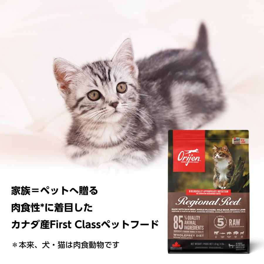 正規品】カナダ産 オリジン オリジナルキャット 美味 5.4kg Orijen 