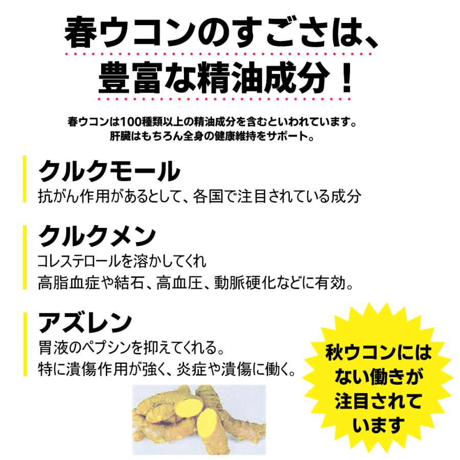銀座まるかん ワクワク命 まるかん 春ウコン サプリメント 斎藤 銀座まるかん ワクワク命 まるかん 春ウコン サプリメント 斎藤