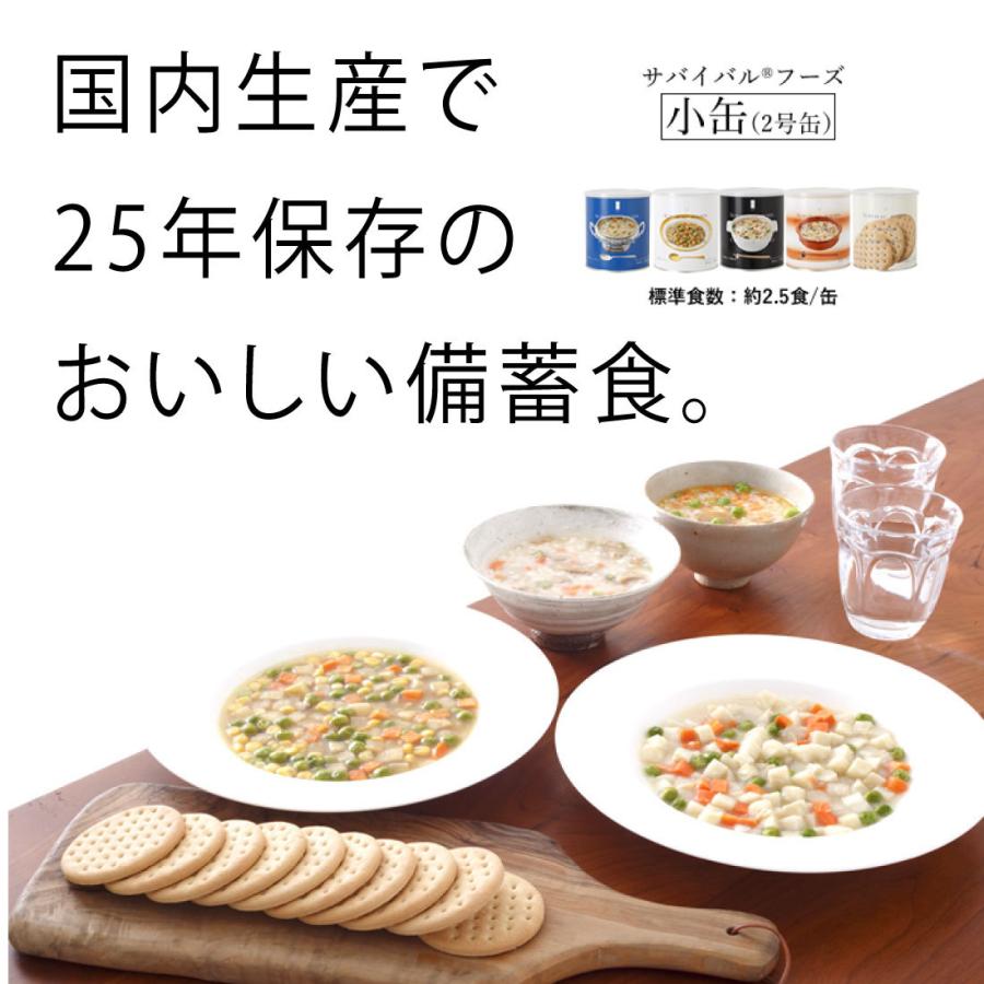 25年保存食 サバイバルフーズ バラエティセット 小缶 (計6缶 15