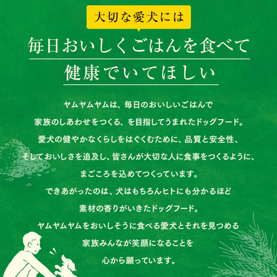 【選べるおまけ付き】yum yum yum！ マグロ ドライタイプ 1.3kg×3袋  正規品ドッグフード 犬用 全年齢 子犬 成犬用 老犬用  国産 無添加【ヤムヤムヤム】｜sbmstore｜04