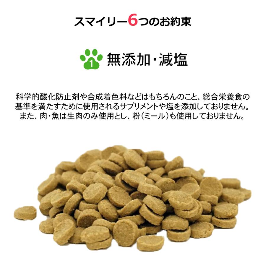 Smiley 【選べるおまけ付き】純国産 無添加ドッグフード smiley