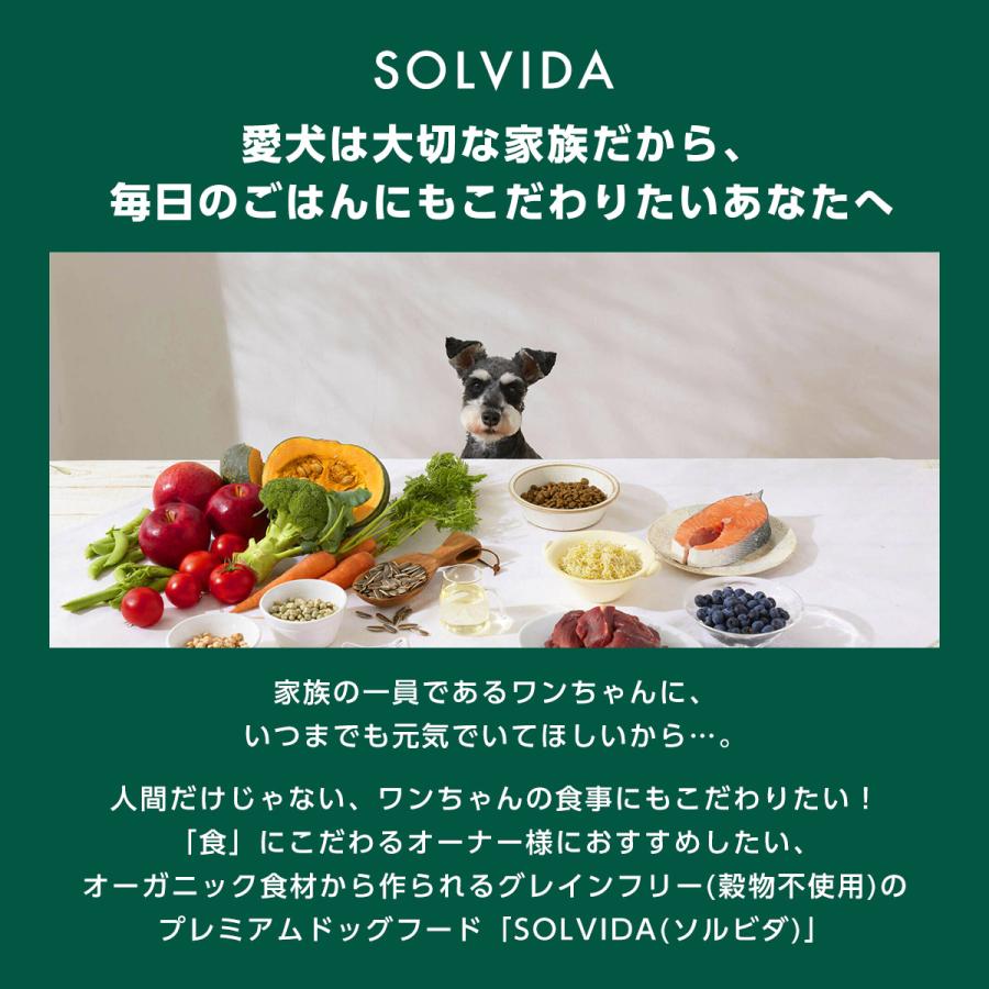 ソルビダ 【選べるおまけ付き】ソルビダ SOLVIDA グレインフリー